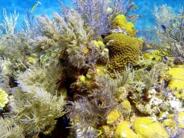 Grand Turk Monday5-23-16